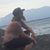 Randy Johnson's profile image