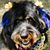 Sandy Stinson's profile image