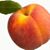 David Nordheimer's profile image