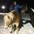 Laura Khouri's profile image