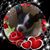 Ann Mentink's profile image