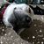Robin Brightbill's profile image