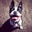 Sheena D.'s profile image