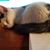 Becky L Busse Mull's profile image