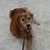 Mary Miller Gasner's profile image