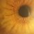 Mary Ekstrom's profile image