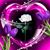 Martha Houts's profile image