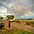 Jessica Slattery-Quintanilla's profile image