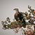 Debra Kay's profile image