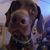 Kevin Okeefe's profile image
