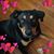 Danielle Reyes's profile image