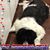 Cheryl Higdon Benoit's profile image