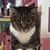 Valerie La Rue's profile image
