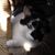 Cassie Roberts's profile image