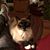 Melinda Wallrichs's profile image