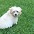 ReDonna Munday's profile image