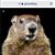 Todd C. Kelly's profile image