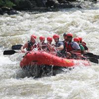 David Nease's profile image