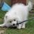 Lo Vonguyen's profile image