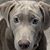 Paul Tomasko's profile image
