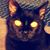 Eric D Lanman's profile image