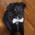Elizabeth Ettenger's profile image