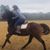 Erica Zeno Robinson's profile image