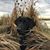 David Perry's profile image