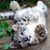Bobbi Lombari's profile image
