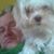 Nancy Paul's profile image