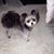 Sharon Robertson's profile image