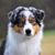 Tobi Schupak Krueger's profile image