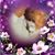 Tammy LaPan's profile image