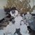 Christy Thompson's profile image