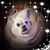 George Andrews's profile image