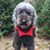 Jacklyn Murphy-Demaree's profile image