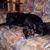 Alexandria Koepp's profile image