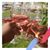 Debbie Jones Robinson's profile image