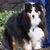 Karen Marlene Fulbright's profile image