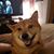 Theresa McSherry's profile image
