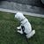 Scott Wilson's profile image
