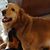 Debbie Busch Huscher's profile image