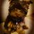 Debbie Wilson Keith's profile image