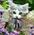Nancy Edwards's profile image