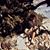 Andrea Hirst's profile image