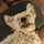 Diane R.'s profile image