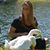 Donna Ritchie's profile image