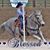 Amy Jo Reisdorfer's profile image