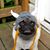 Jakob Knorr's profile image