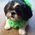 Marlea Marie Ciarlillo's profile image
